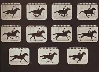 Sallie Gardner Running from The Attitudes of Animals in Motion
